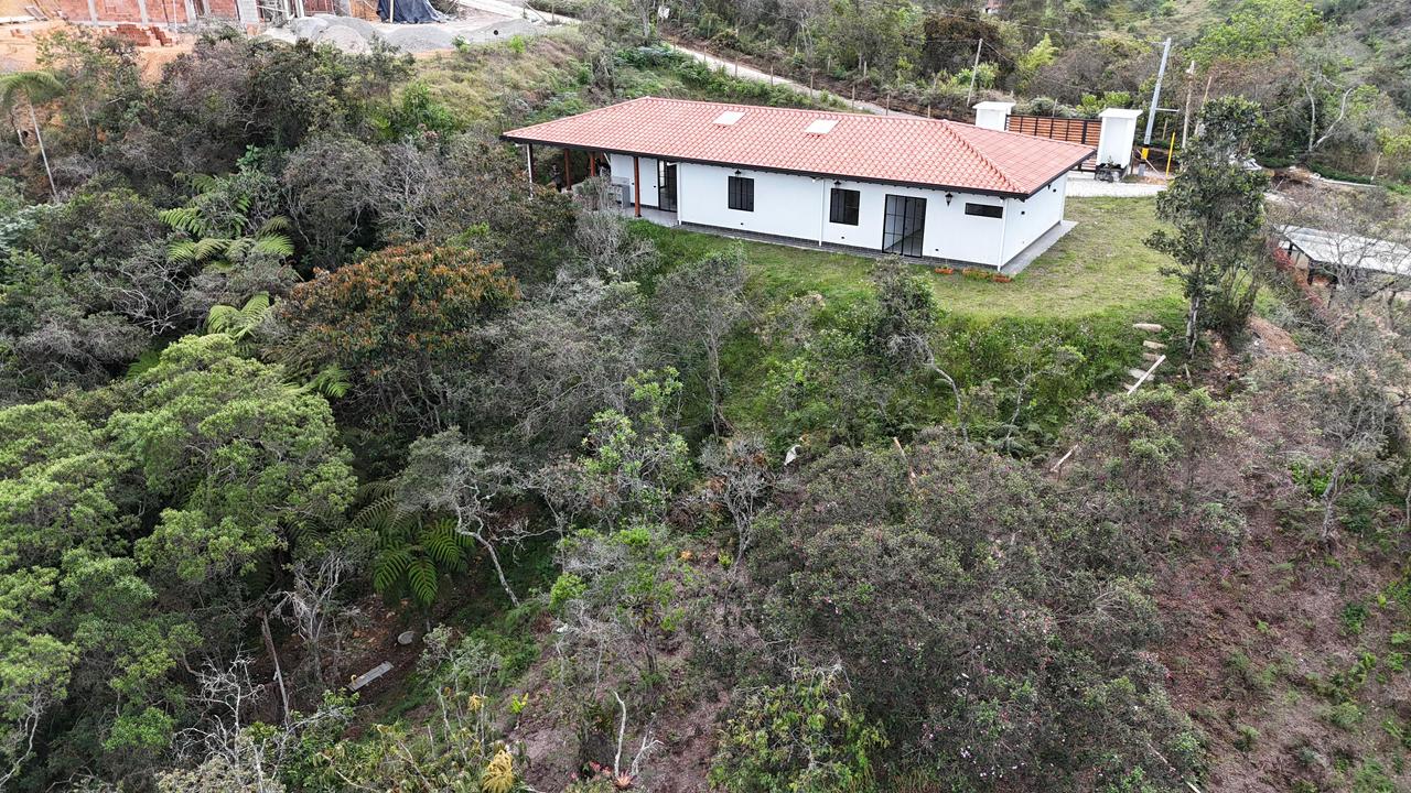 Vista de la finca rodeada de bosque y naturaleza